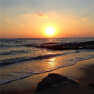 今期澳门三肖三码开一码app下载